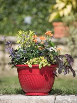 Mazzano Self-Watering Planters -Garden Tools Sales Store 8596564 4883 tif