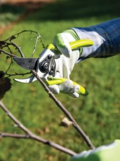 Gardener's Pro Pruner #2 7 Gardener's Pro Pruner #2 -Garden Tools Sales Store 8596605 032 tif