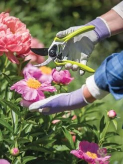 Gardener's Pro Pruner #2 6 Gardener's Pro Pruner #2 -Garden Tools Sales Store 8596605 1261 tif