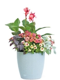 Weave Self-Watering Round Planter, 14" -Garden Tools Sales Store 8597388 2175 tif