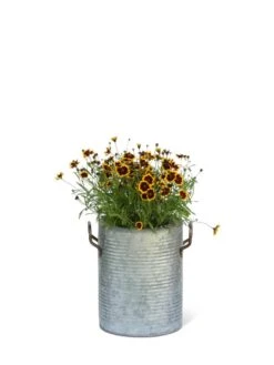 Galvanized Rim Planters -Garden Tools Sales Store 8597442 1705 tif