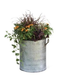 Galvanized Rim Planters -Garden Tools Sales Store 8597443 1704 tif