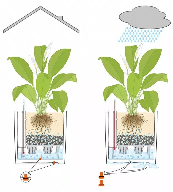 Lechuza® Cube Premium Planters 5 Lechuza® Cube Premium Planters - Image 5