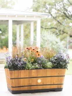 VegTrug™ Trough Planters 12 VegTrug™ Trough Planters -Garden Tools Sales Store 8598402 8880 tif