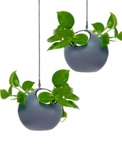Exaco Euro Hanging Planters, Set Of 2 7 Exaco Euro Hanging Planters, Set Of 2 -Garden Tools Sales Store 8599179 04V tif