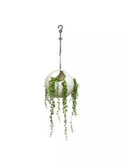 Exaco Euro Hanging Planters, Set Of 2 6 Exaco Euro Hanging Planters, Set Of 2 -Garden Tools Sales Store 8599179 06V tif