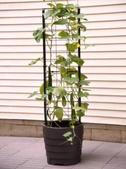 Gardener’s Victory Self-Watering Planter Garden With Vine Trellis -Garden Tools Sales Store 8600177 9876 tif 1