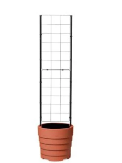 Gardener’s Victory Self-Watering Planter With Vine Trellis -Garden Tools Sales Store 8600178 7000 tif
