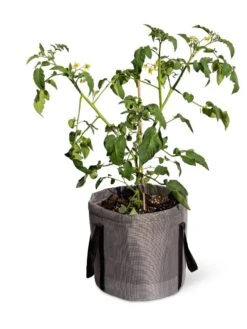 Reinforced Colorful Grow Bags 11 Reinforced Colorful Grow Bags -Garden Tools Sales Store 8600229 0944 tif