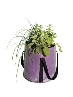 Reinforced Colorful Grow Bags 8 Reinforced Colorful Grow Bags -Garden Tools Sales Store 8600230 0948 tif