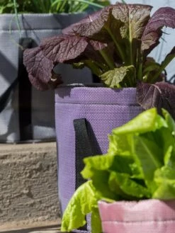 Reinforced Colorful Grow Bags 9 Reinforced Colorful Grow Bags -Garden Tools Sales Store 8600230 20013 tif