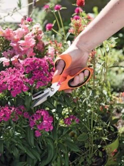 Gardener's Multi Purpose Scissors -Garden Tools Sales Store 8608655 19551 tif