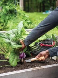 Gardener's Lifetime Hori Hori Knife -Garden Tools Sales Store 8608888 0422 tif