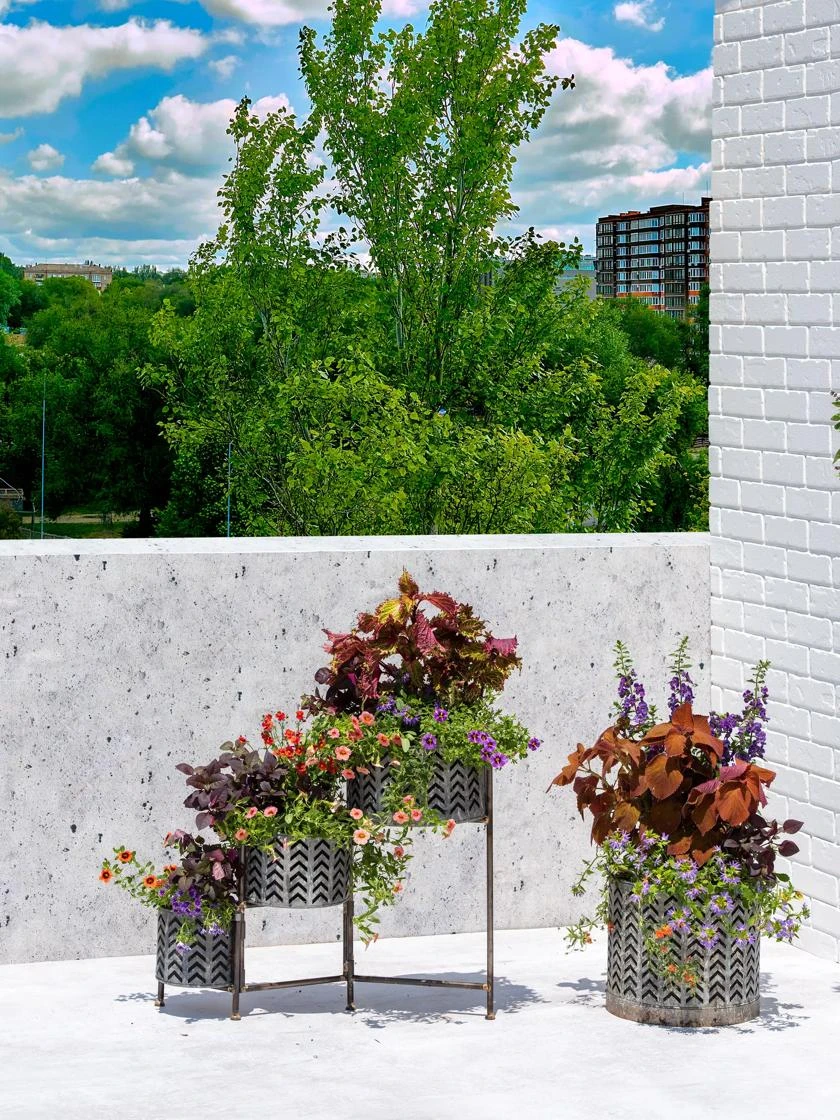 Galvanized Grow Bag Planter 12" 5 Galvanized Grow Bag Planter 12" - Image 5