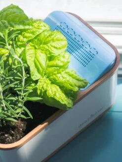 Dewplanter -Garden Tools Sales Store 8609512 04V