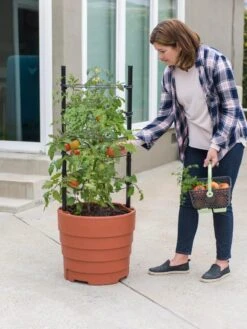 Gardener’s Victory Self-Watering Planter Garden Kit 10 Gardener’s Victory Self-Watering Planter Garden Kit -Garden Tools Sales Store 8610239 06002 tif