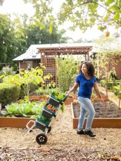 Mod Hod Trolley With Teal Mod Hods 7 Mod Hod Trolley With Teal Mod Hods -Garden Tools Sales Store 8610240 0070 tif