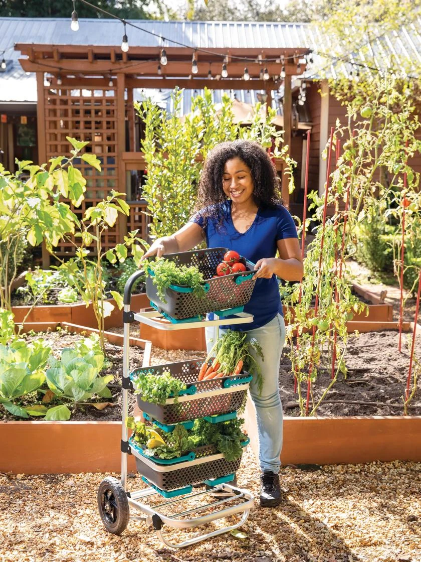 Mod Hod Trolley With Teal Mod Hods 1 Mod Hod Trolley With Teal Mod Hods