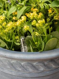 Adjustable Self-Watering Insert For Pots And Planters 19 Adjustable Self-Watering Insert For Pots And Planters -Garden Tools Sales Store 8610250 0010 tif