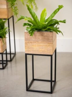 Tartu Elevated Square Planters 13 Tartu Elevated Square Planters -Garden Tools Sales Store 8611005 035