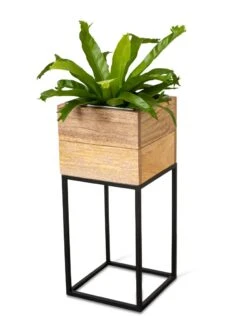 Tartu Elevated Square Planters 18 Tartu Elevated Square Planters -Garden Tools Sales Store 8611005 036