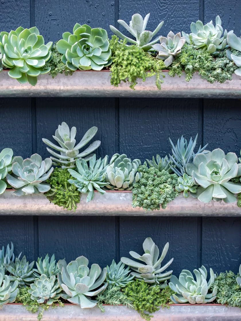 3-Tier Vertical Wall Planter, 3' 4 3-Tier Vertical Wall Planter, 3' - Image 4