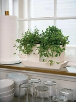 Stoneware Self-Watering Windowsill Planters, Set Of 2 -Garden Tools Sales Store 8611890 2285 tif