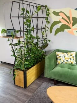 Self-Watering Partition Planter -Garden Tools Sales Store 8611952 001 tif