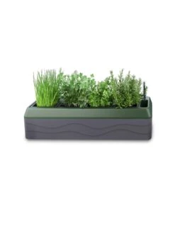 Provence Self-Watering Herb Planter -Garden Tools Sales Store 8611965 03V tif