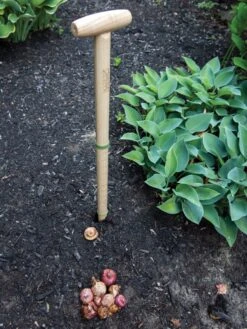 Wicked Big Dibber 8 Wicked Big Dibber -Garden Tools Sales Store 8612667 0028