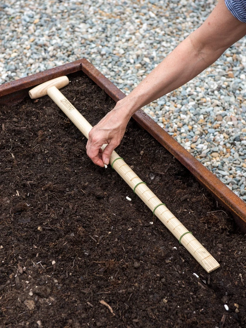 Wicked Big Dibber 5 Wicked Big Dibber - Image 5