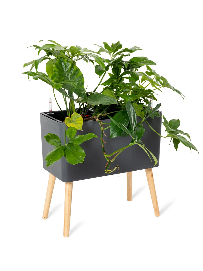 Ava Self-Watering Rectangular Planter 4 Ava Self-Watering Rectangular Planter - Image 4