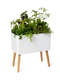 Ava Self-Watering Rectangular Planter 13 Ava Self-Watering Rectangular Planter -Garden Tools Sales Store 8612691 0014