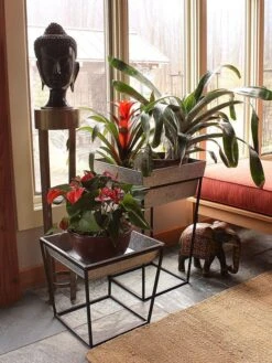 Achla Designs Arne Plant Stand 11 Achla Designs Arne Plant Stand -Garden Tools Sales Store 8612900 03v