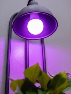 Kira Grow Light Hanging Planter 8 Kira Grow Light Hanging Planter -Garden Tools Sales Store 8613232 5663