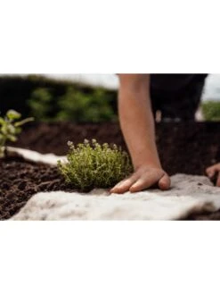Hortiwool ®, Starter Garden Pad -Garden Tools Sales Store 8613263 09v