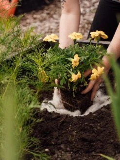 Hortiwool ®, Starter Garden Pad -Garden Tools Sales Store 8613263 12v 1