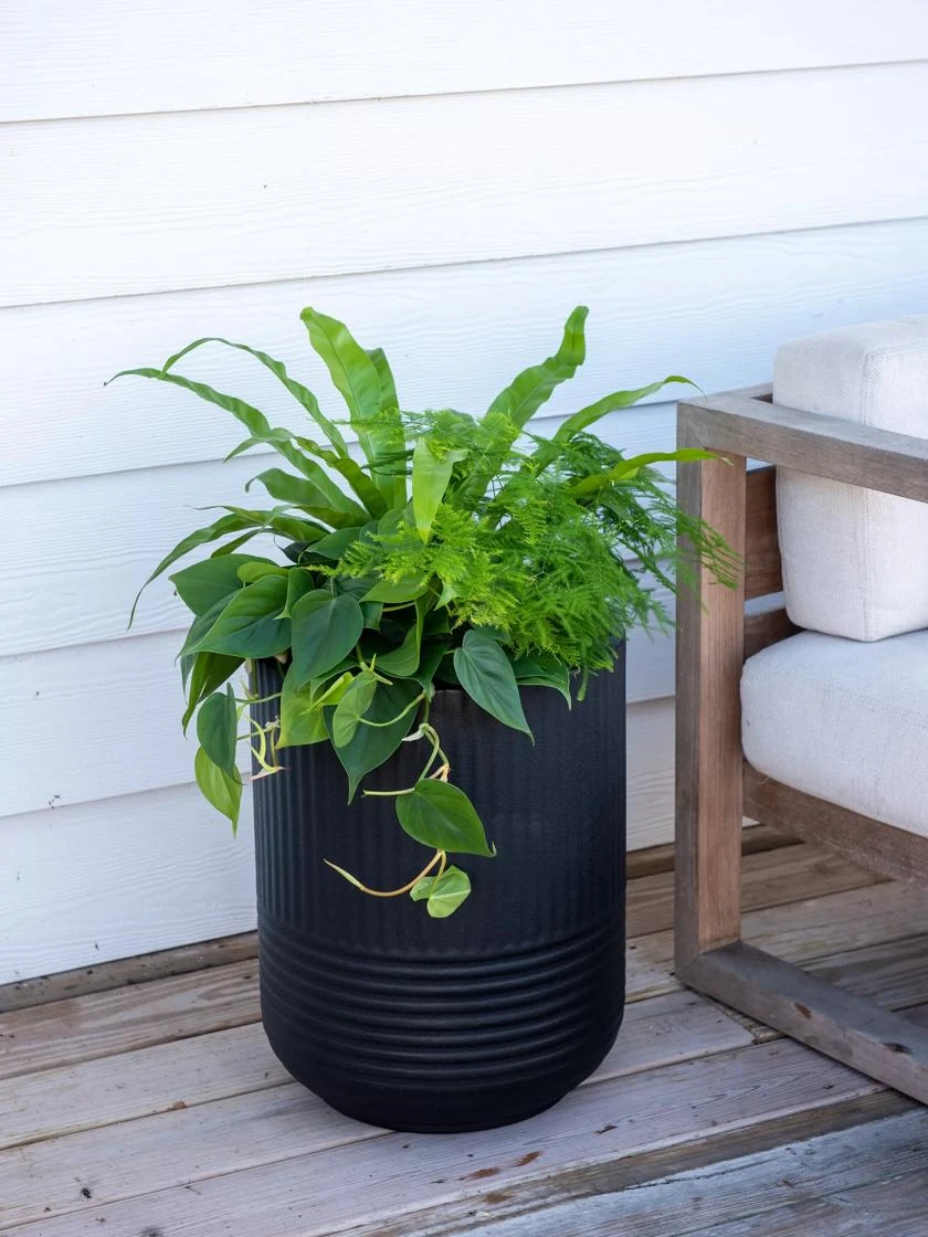 Arden Round Planter 2 Arden Round Planter - Image 2