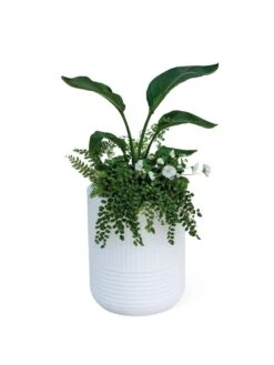 Arden Round Planter 15 Arden Round Planter -Garden Tools Sales Store 8613267 0115