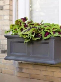 Fairfield Self-Watering Window Box, 2’ -Garden Tools Sales Store 8613268 08V tif
