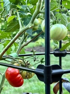 Oasis Self-Watering Tomato Planter With Trellis -Garden Tools Sales Store 8613440 01TEST