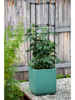 Oasis Self-Watering Tomato Planter With Trellis -Garden Tools Sales Store 8613440 0373 3 4