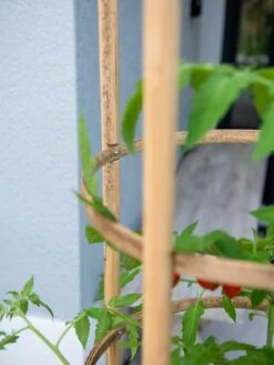 Elevated Bamboo Tomato Planter And Trellis 11 Elevated Bamboo Tomato Planter And Trellis -Garden Tools Sales Store 8613502 0423