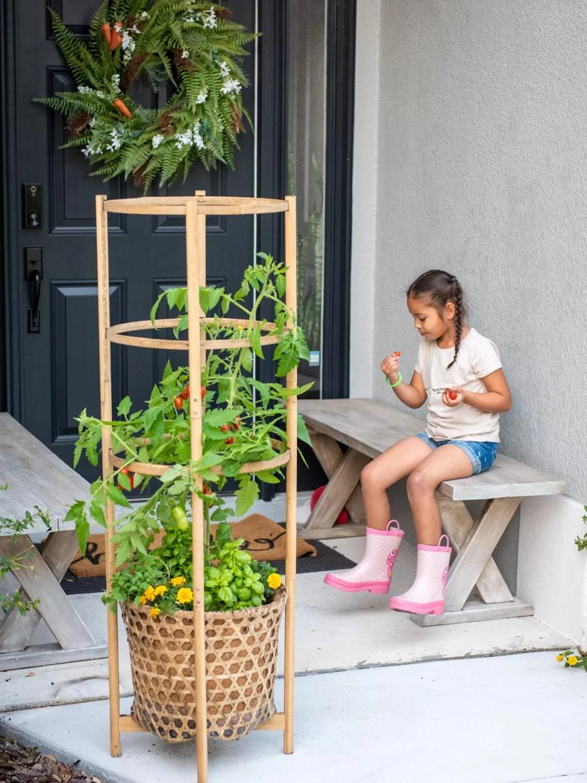 Elevated Bamboo Tomato Planter And Trellis 2 Elevated Bamboo Tomato Planter And Trellis - Image 2