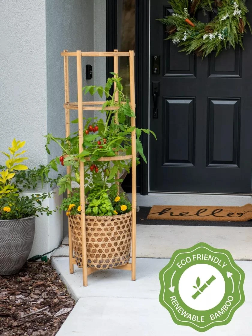 Elevated Bamboo Tomato Planter And Trellis 1 Elevated Bamboo Tomato Planter And Trellis