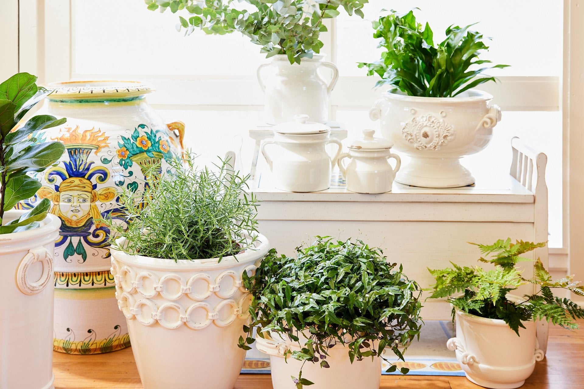 Front Page -Garden Tools Sales Store 99