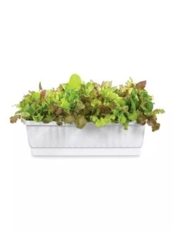 31" Self-Watering Window Box 5 31" Self-Watering Window Box -Garden Tools Sales Store GS36523 01Z 3 4