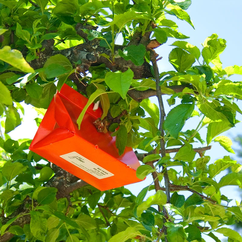 Pest Wizard Paper Delta Trap 3-Pack 4 Pest Wizard Paper Delta Trap 3-Pack - Image 4