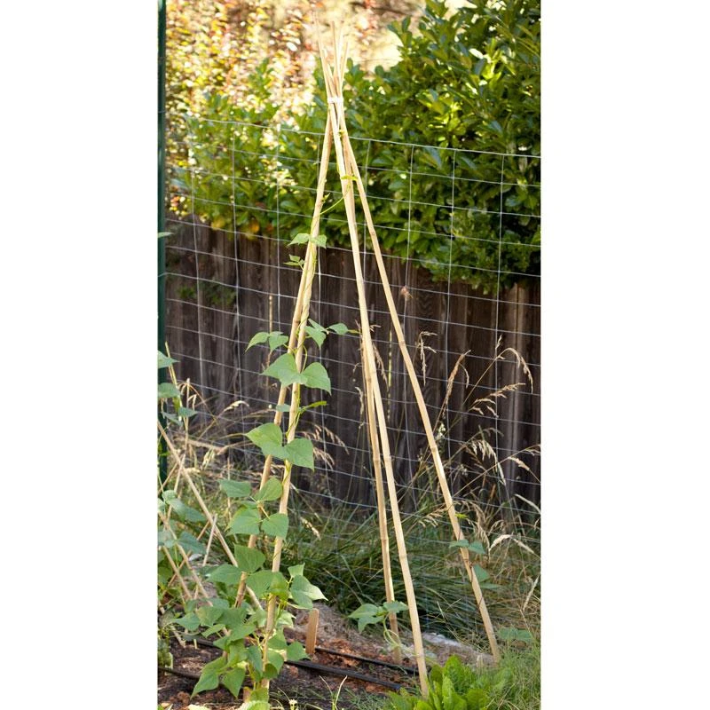 Bamboo Stakes - 10' (Pack Of 10) 1 Bamboo Stakes - 10' (Pack Of 10)