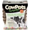 CowPots - 4" Square (Pack Of 12)